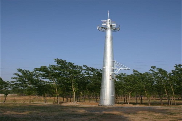 福建森林防火香蕉黄色在线视频价格哪家好？